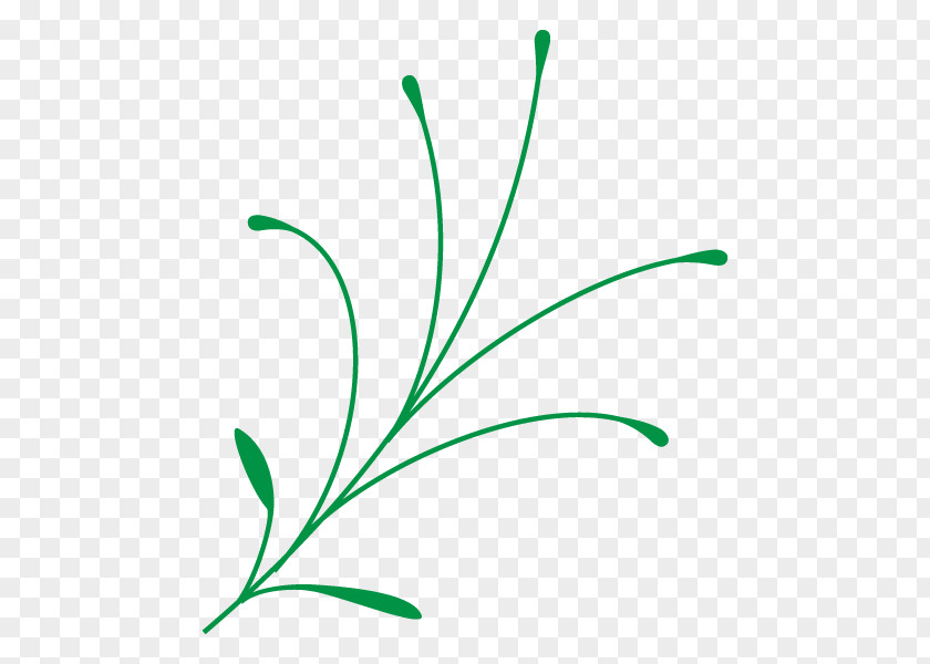 Leaf Clip Art Plant Stem Flower Grasses PNG