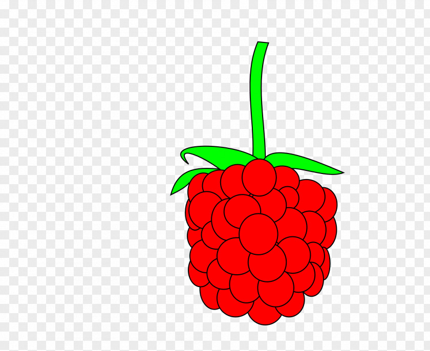Raspberry Animation Clip Art PNG