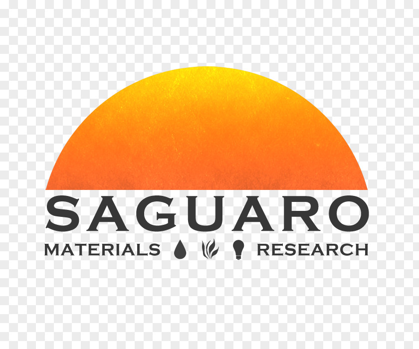 Saguaro Logo Brand Anne-Marie Hurst Font PNG
