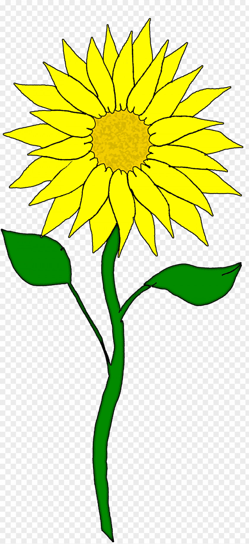 Sunflower Border Cliparts Free Content Blog Clip Art PNG