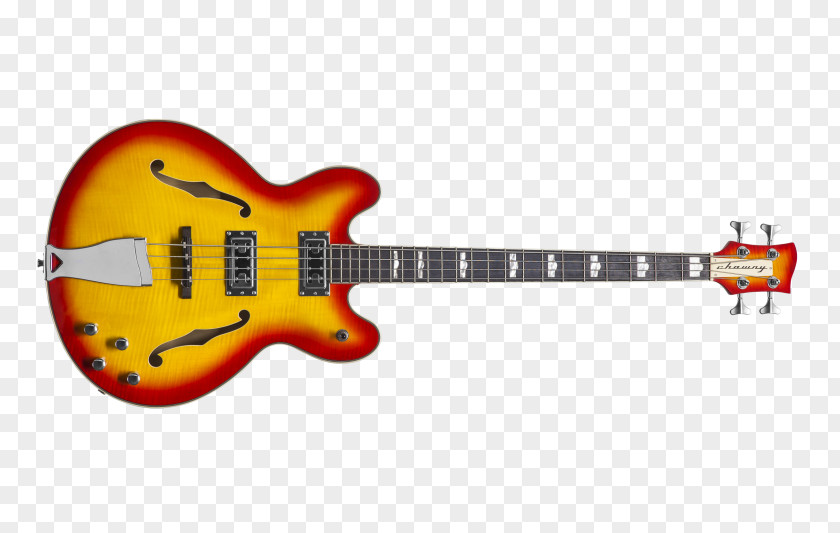 Bass Guitar Electric Acoustic Chowny PNG