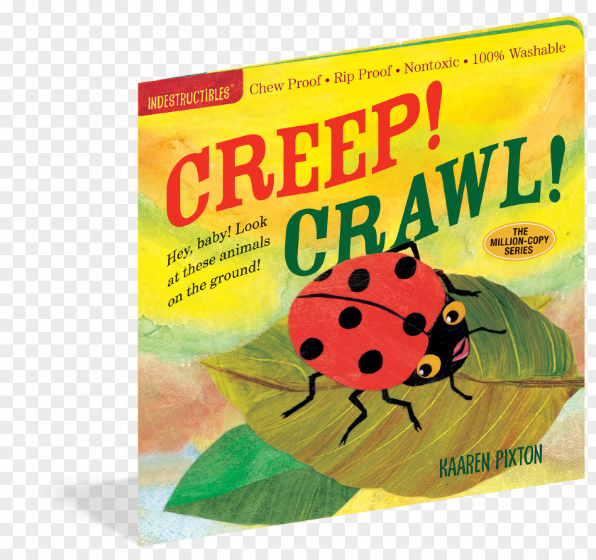Book Creep! Crawl! Indestructibles: Baby Babble Faces Welcome, Flutter! Fly! PNG