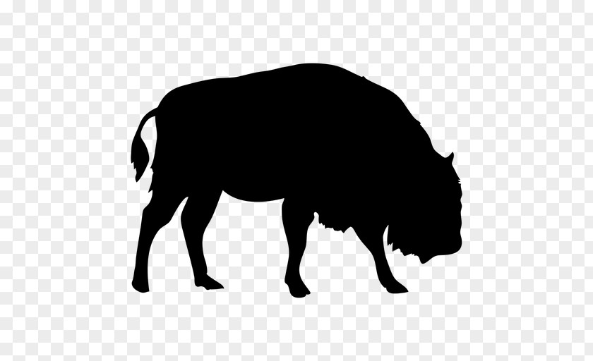 Bull Wildlife Pig Cartoon PNG