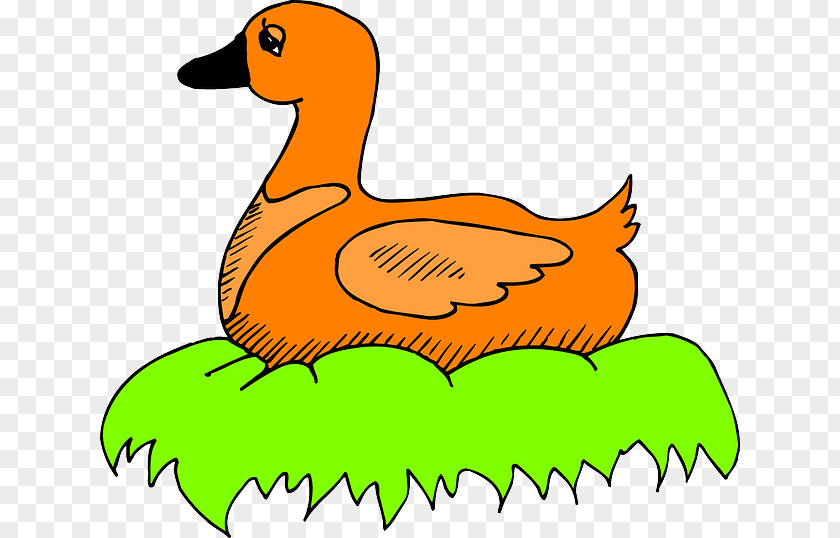 Duck Mallard Bird Nest Clip Art PNG