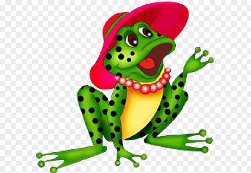 Frog Toad Clip Art PNG