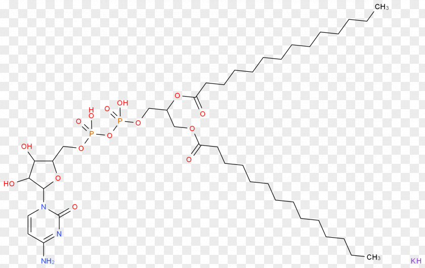 Line Point Angle PNG