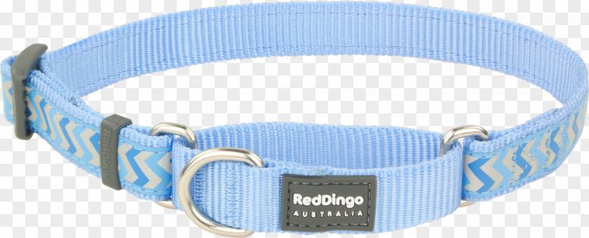 Red Collar Dog Dingo Blue Cat PNG