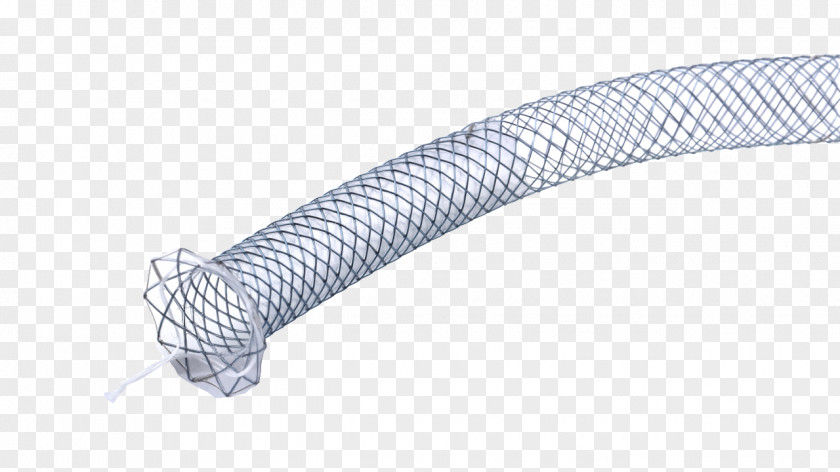 Stent Stenting Common Bile Duct Medicine Self-expandable Metallic PNG