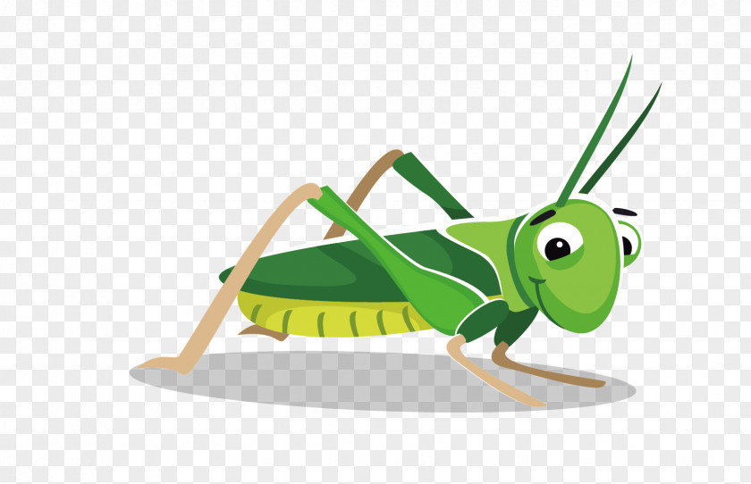 Vector Material Cute Grasshopper Cartoon Clip Art PNG