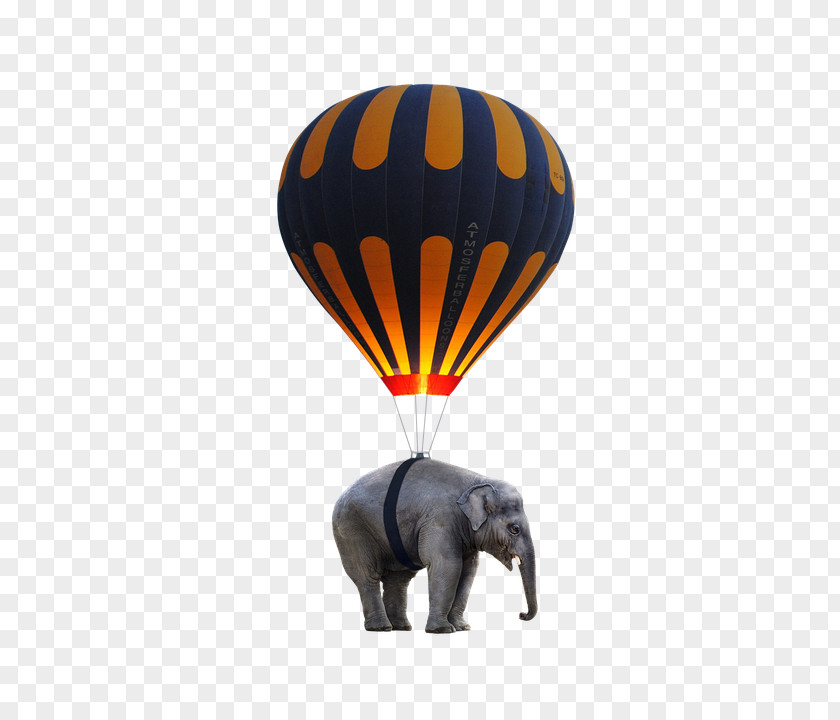 Balloon Hot Air Ballooning Elephants Toy PNG