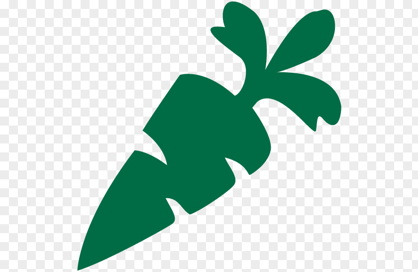 Carrot Vegetable PNG