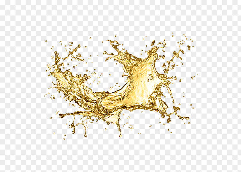Champagne Water Splash Map Clip Art PNG
