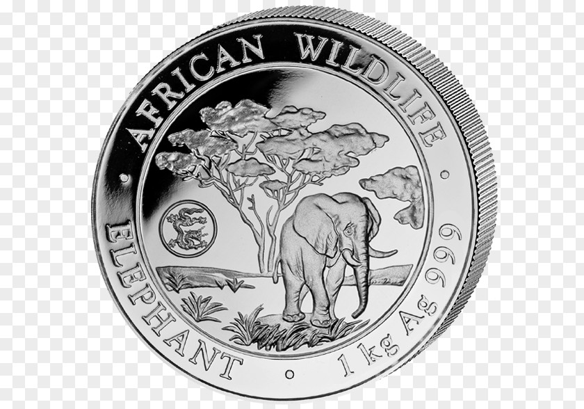 Coin Silver African Elephant Elephantidae PNG