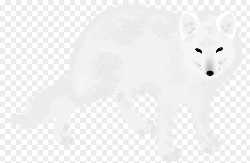 Drawing Tail Fox PNG