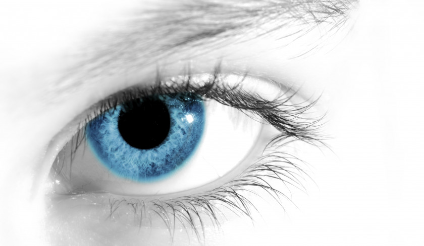 Eyes Human Eye Desktop Wallpaper Tracking Visual Perception PNG