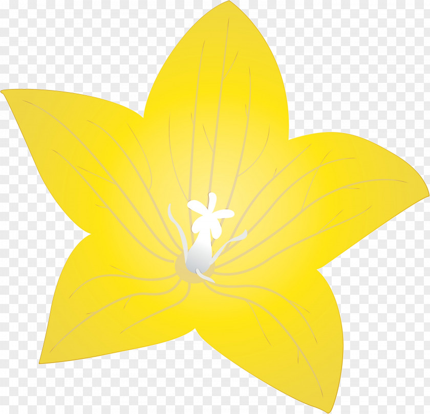 Flower Petal Yellow Flora Symmetry PNG