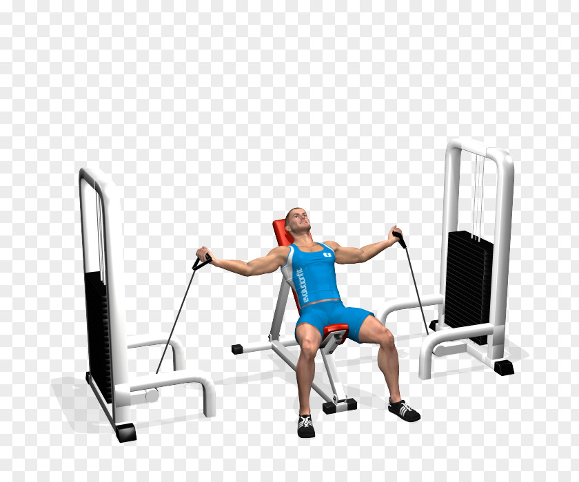 Fly Shoulder Bench Dumbbell Cable Machine PNG