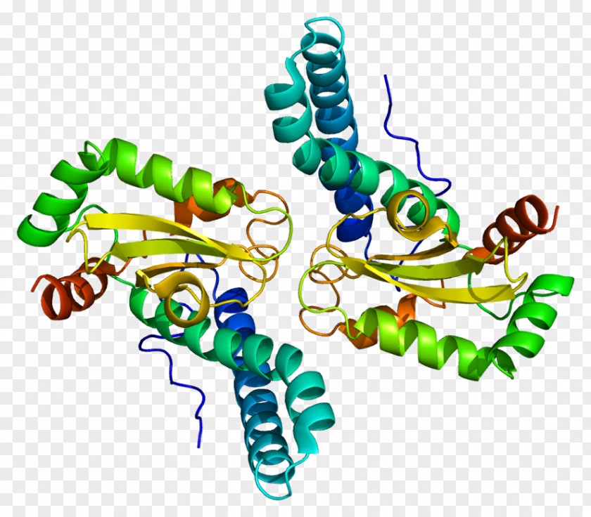 Macromolecule Polymer Repeat Unit Protein PNG