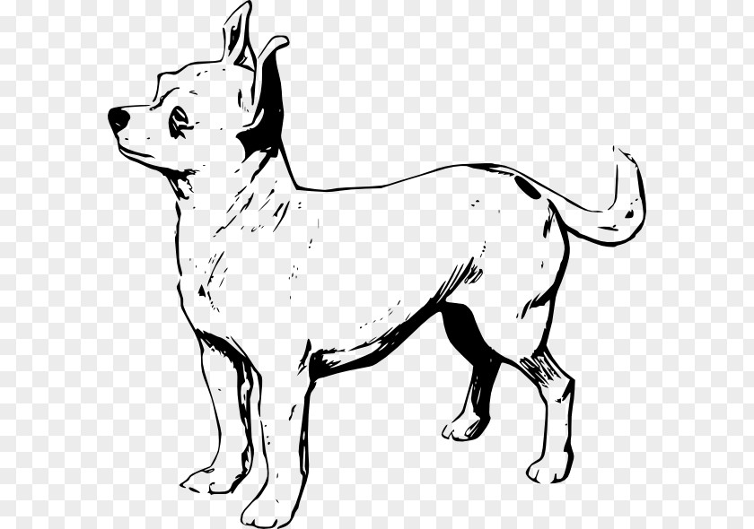 Puppy Chihuahua Drawing Clip Art PNG