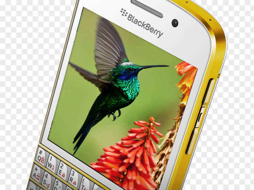 Smartphone BlackBerry Q10 Leap Classic Z3 Limited PNG