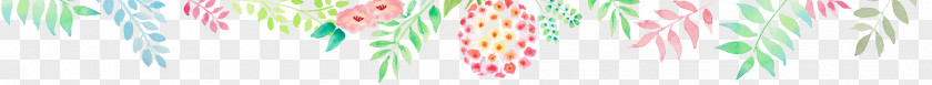 Title Bottom Frame Desktop Wallpaper Close-up Line Plant Stem Pattern PNG