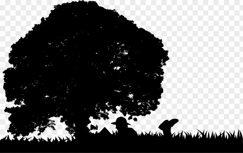 Trees Plan Tree Silhouette Clip Art PNG