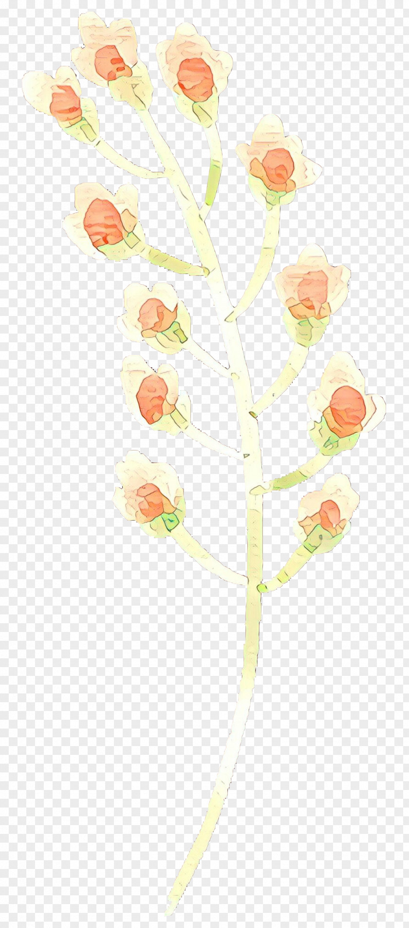 Wildflower Peach Floral Flower Background PNG