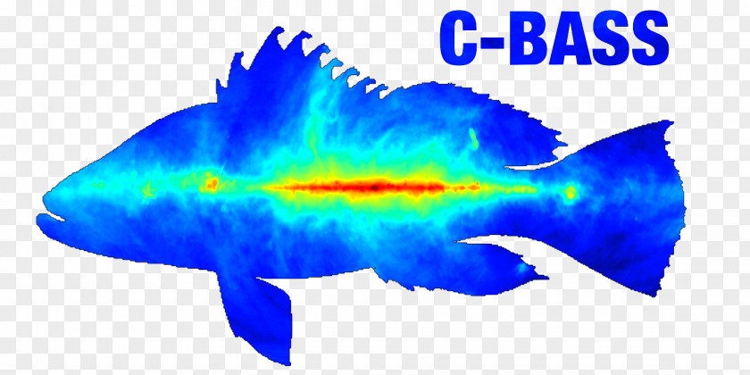 Bass Anglers Sportsman Society C-Band All Sky Survey Hartebeesthoek Radio Astronomy Observatory Polarization Synchrotron Radiation Science PNG