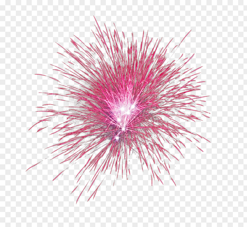 Fireworks Image Photograph Clip Art PNG