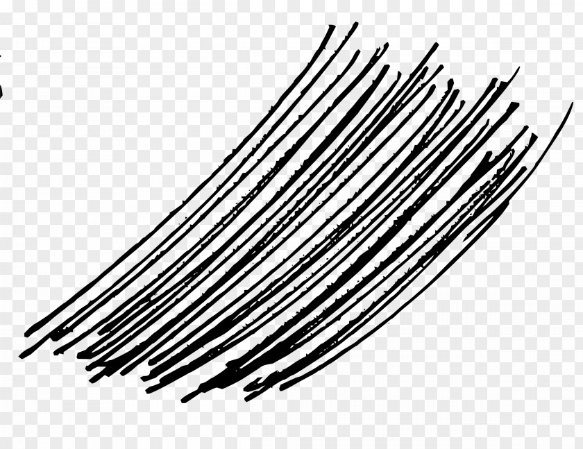 Lines Line Hair Clip Art PNG