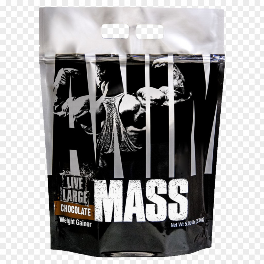Protein Dietary Supplement Gainer Bodybuilding Nutrition Mass PNG