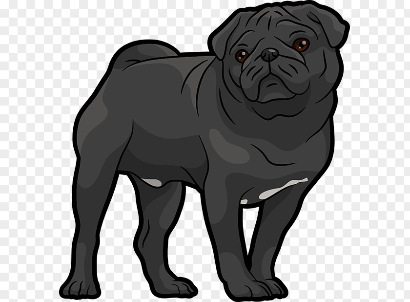 Puppy Pug Dog Breed Companion Clip Art PNG