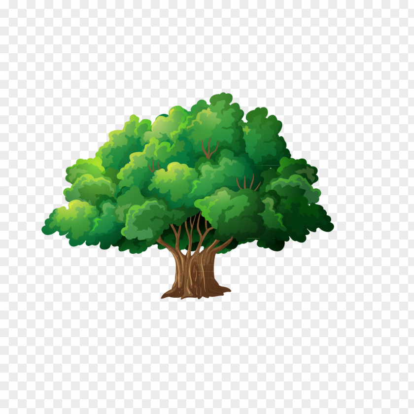 Trees PNG