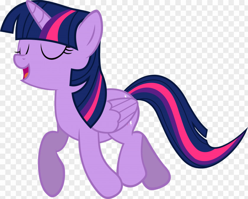 Twilight Sparkle Applejack Rainbow Dash Pony The Saga PNG