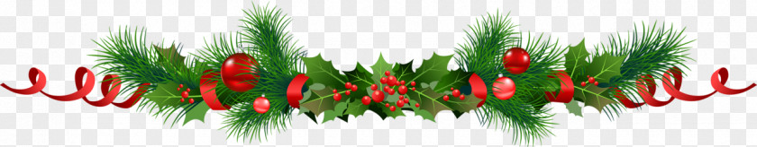 Christmas Decoration Common Holly Panettone Garland PNG