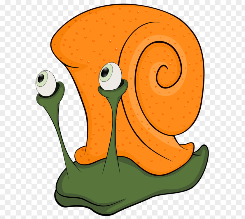 Snail Snails & Slugs Clip Art Gastropods Drawing PNG