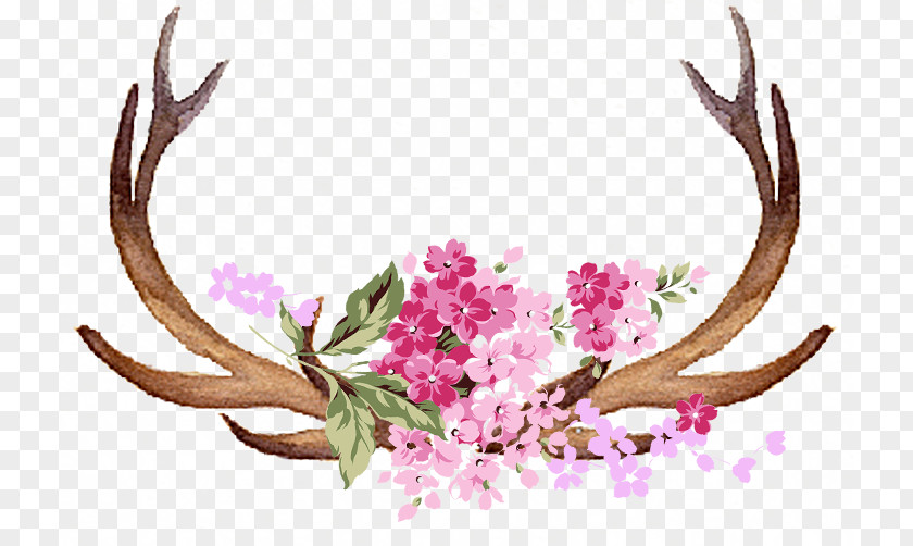 Antlers Pattern Material PNG pattern material clipart PNG