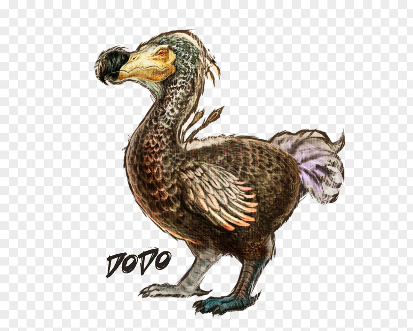 Ark Vector ARK: Survival Evolved Dodo Allosaurus Mosasaurus Dinosaur PNG