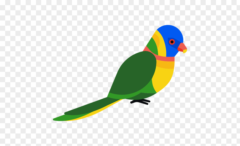 Bird Parakeet Cockatoo Clip Art PNG