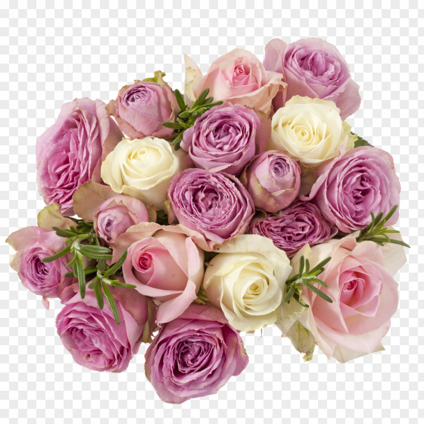 Flower Garden Roses Qualirosa B.V. Cut Flowers Cabbage Rose Bouquet PNG