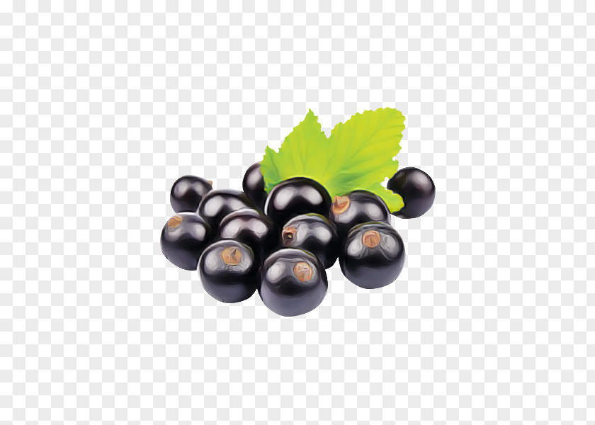 Grape Fruit Berry Plant Grapevine Family PNG