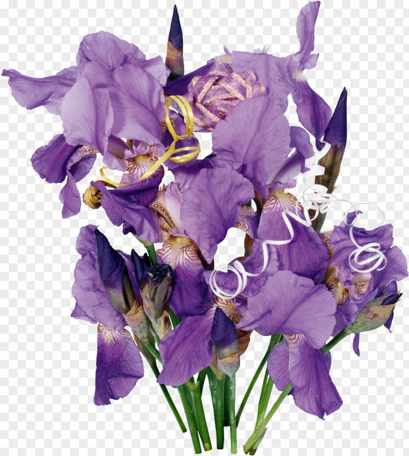 Iris Cut Flowers Irises Wall Flower Bouquet PNG