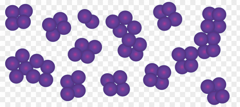 Microscope LabDx B.V. Micrococcus Luteus Gram Stain Bacteria PNG