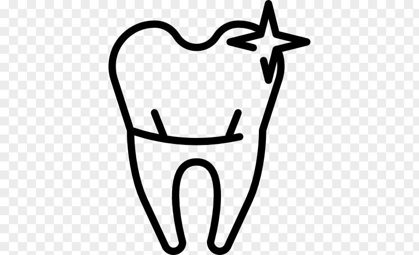 Teeth Vector Dentistry Human Tooth Dental Implant PNG