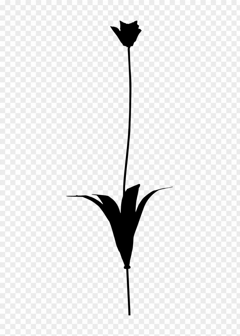 Twig Clip Art Plant Stem Flower Leaf PNG