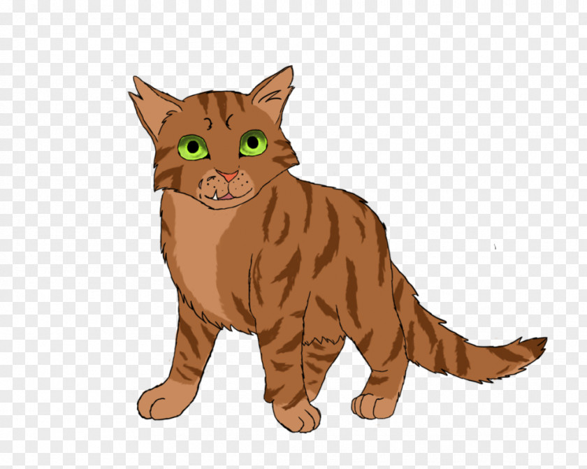 Warrior Cat Drawings Tabby Wildcat Whiskers Crookedstar PNG