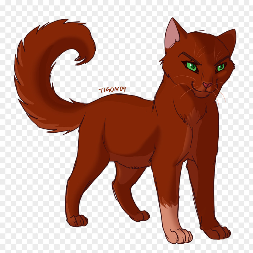 Warriors Cat Kitten Leafpool PNG