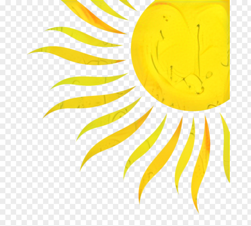 Yellow Flower Solar System Background PNG