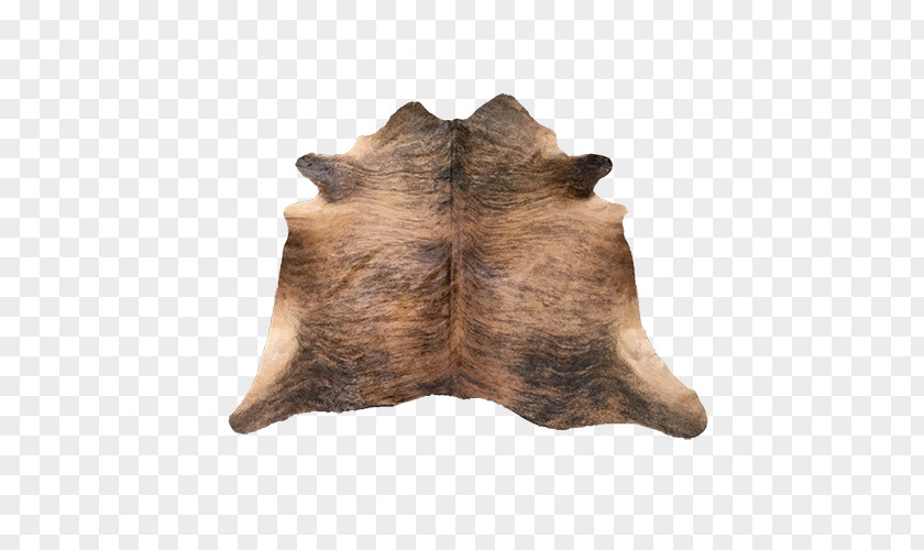 Cow Skin Snout Fur PNG