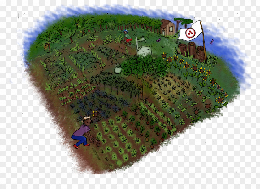 HortÃªnsia PC Game Biome Plant Community Video PNG